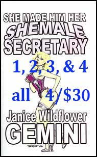 She Made Him Her Shemale Secretary Books 1 thru 4 mags, inc, crossdressing stories, transvestite stories, female domination, stories, Janice Wildflower Gemini